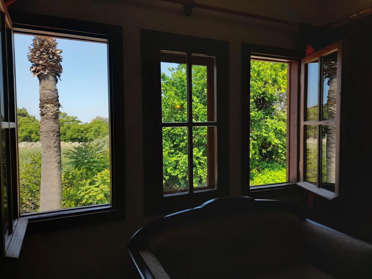 Casa Callinos Bed & Breakfast Selcuk Exterior photo